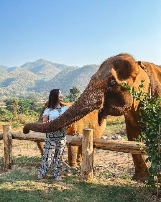 Elephantpoolvilla Maetang Chiangmai Ban Muang Kut Luaran gambar